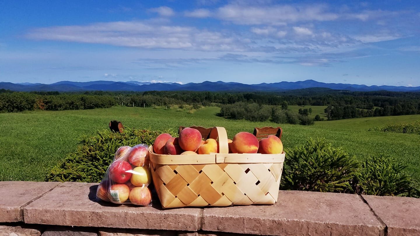 Chattooga Belle Farm